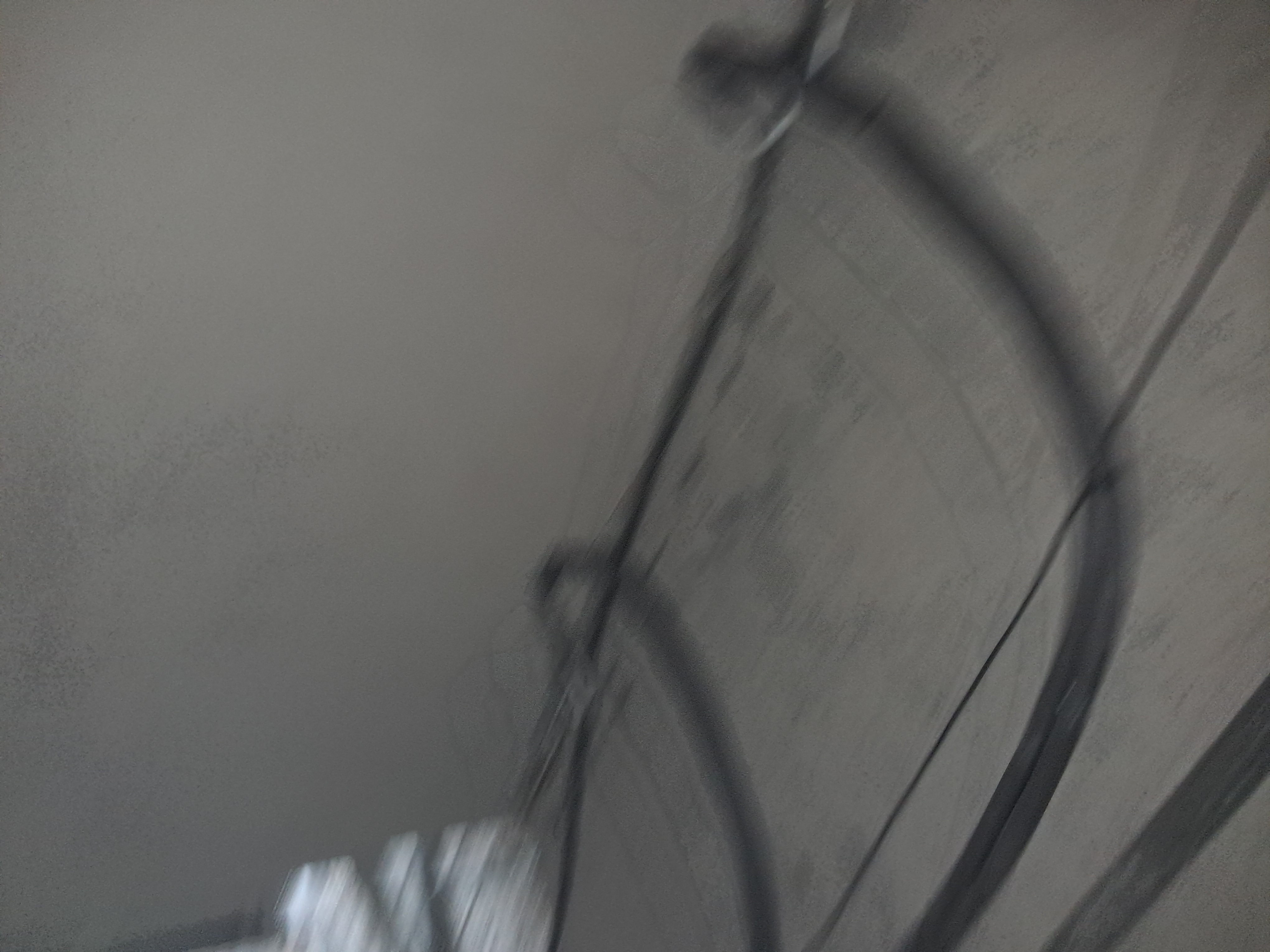 20260727_110545.jpg